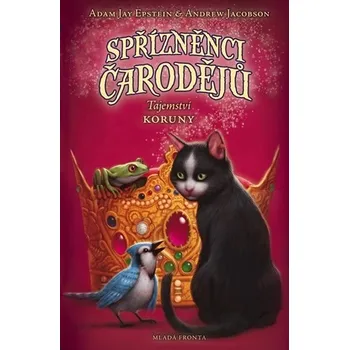 Spřízněnci čarodějů - Adam Jay Epstein