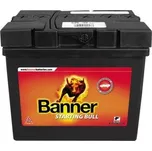 Banner Starting Bull 53030 12V 30Ah 300A