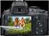 ScreenShield Nikon D5100