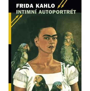 Umění Frida Kahlo - Luděk Janda