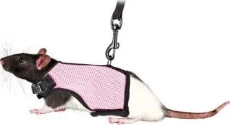postroj pro malé zvíře Trixie Vesta s vodítkem pro krysu 120 cm