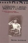 Literatura v Americe, Amerika v…