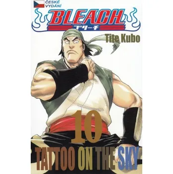 Komiks pro dospělé Bleach 10 - Tite Kubo
