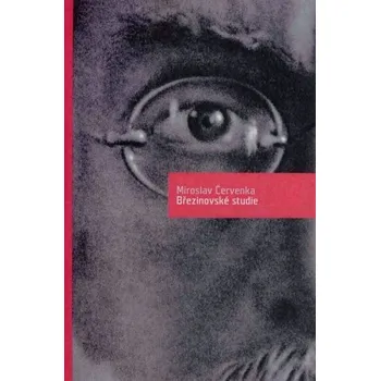 Umění Březinovské studie - Miroslav Červenka