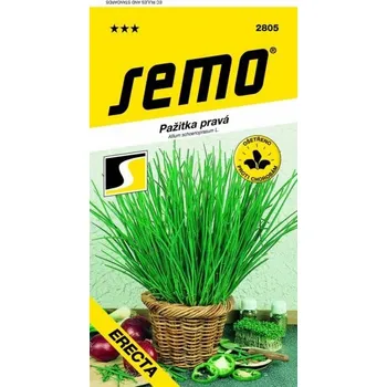 Semeno SEMO Erecta Pažitka vzpřímená 2 g