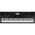 Keyboard Casio WK-6600