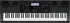 Keyboard Casio WK-6600