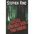 Holčička, která měla ráda Toma Gordona - Stephen King