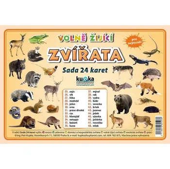 Bystrá hlava Volně žijící zvířata: Sada 24 karet - Petr Kupka