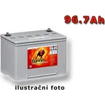 Banner Dry Bull DB 100