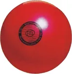 Gymnastický míč 8280L