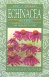 Echinacea třapatka - Douglas Schar