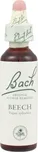 Bachovy esence Beech 20 ml