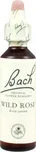 Bachovy esence Wild Rose 20 ml