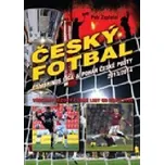 Český fotbal: Gambrinus liga a Pohár České pošty 2013/2014 - Petr Zapletal