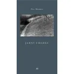 Jarní chodec - Petr Mazanec