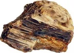Dřevo zkam. 400 mil.let 1,0-1,9 kg