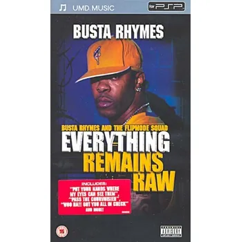 Hra pro starou konzoli Busta Rhymes Everything Remains Raw