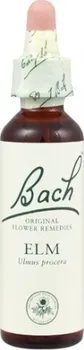 Přírodní produkt Bachovy esence Elm 20 ml