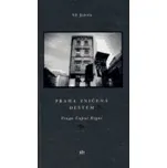 Praha zničená deštěm/Praga Caput Regni…