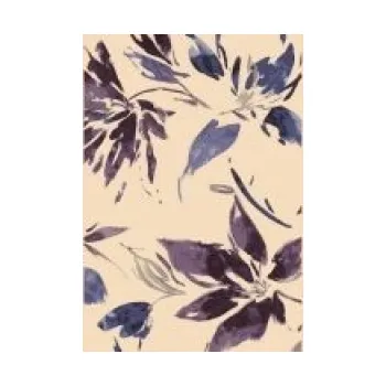 Koberec Recenze Ragolle Infinity 32052/6219 160 x 230 cm