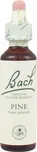 Bachovy esence Pine 20 ml