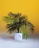 Umělá květina Palma Areca, 110 cm