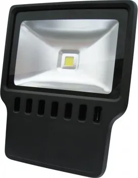 Reflektor LED MCOB100W/CW ZS1215