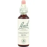 Bachovy esence Chestnut Bud 20 ml