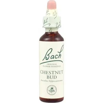Přírodní produkt Bachovy esence Chestnut Bud 20 ml