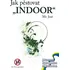 Jak pěstovat "INDOOR": José Mr.
