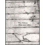 Dům mezi okny - Petr Fabian