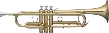 Zobcová flétna Stagg WS-TR115