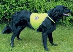 Obleček pro psa Bezpečnostní reflexní vesta M/č.2, 42-50/50-68cm TRIXIE