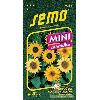 Semeno SEMO Pacino Mix Mini slunečnice roční 15 ks