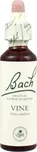 Bachovy esence Vine 20 ml