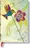 Zápisník Hartley & Marks Publishers Hummingbird zápisník