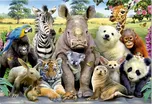 Puzzle Zvířátka - třídní foto 1000 dílků
