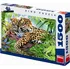 Puzzle Dino Gepardi 1500 dílků