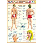 Obrázková angličtina 3: Lidské tělo -…