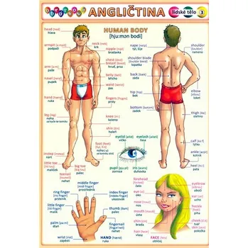 výuková tabulka Obrázková angličtina 3: Lidské tělo - Petr Kupka