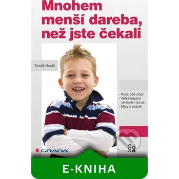 Mnohem menší dareba, než jste čekali - Novák Tomáš