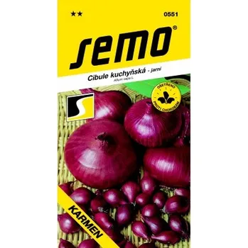 Semeno SEMO Karmen Cibule kuchyňská jarní 2 g