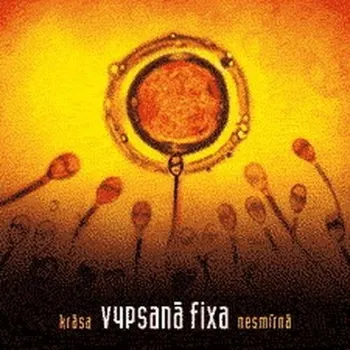 Česká hudba Krása nesmírná - Vypsaná fiXa [CD]