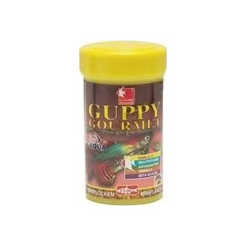 Krmivo pro rybičky DAJANA PET Guppy Gourmet 100 ml