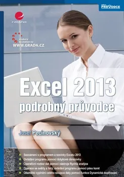 Excel 2013: podrobný průvodce - Josef Pecinovský