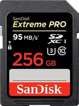 Paměťová karta SanDisk Extreme Pro SDXC 256 GB Class 10 UHS-I U3 V30 (SDSDXXG-256G-GN4IN)