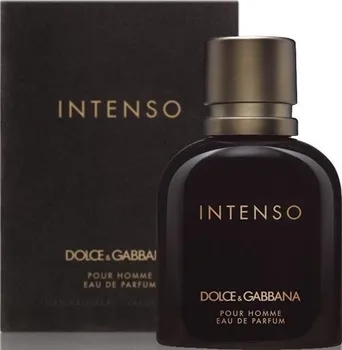 Pánský parfém Dolce & Gabbana Intenso Pour Homme EDP