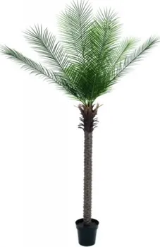 Umělá květina Phoenix palma deluxe, 220cm