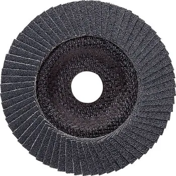 Brusný kotouč Bosch lamelový brusný kotouč 125x22,23mm/120z